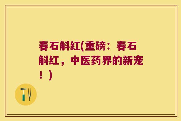 春石斛红(重磅:春石斛红,中医药界的新宠!) 春石斛红(重磅:春石斛红,中医药界的新宠!)