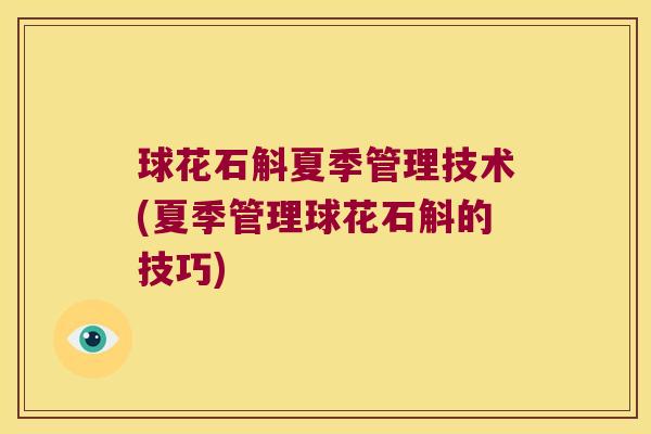 球花石斛夏季管理技术(夏季管理球花石斛的技巧)