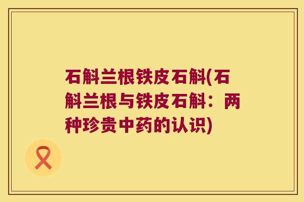 石斛兰根铁皮石斛(石斛兰根与铁皮石斛:两种珍贵的认识) 石斛兰根铁皮石斛(石斛兰根与铁皮石斛:两种珍贵的认识)