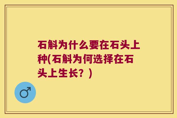 石斛为什么要在石头上种(石斛为何选择在石头上生长?) 石斛为什么要在石头上种(石斛为何选择在石头上生长?)