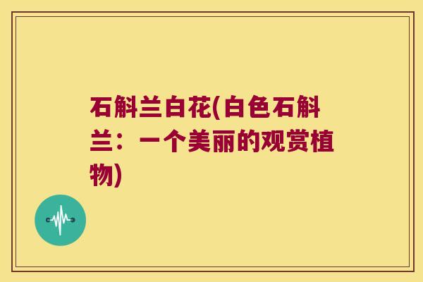 石斛兰白花(白色石斛兰:一个美丽的观赏植物) 石斛兰白花(白色石斛兰:一个美丽的观赏植物)