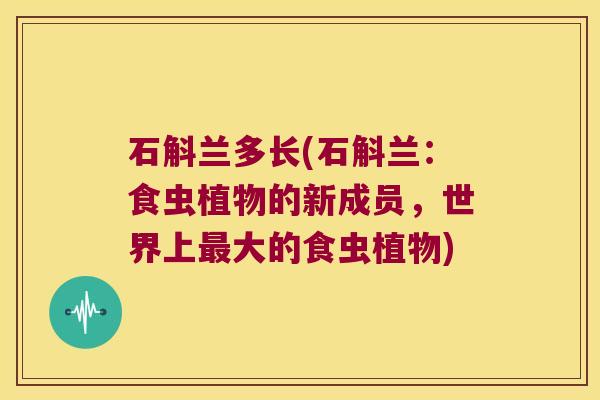石斛兰多长(石斛兰：食虫植物的新成员，世界上最大的食虫植物)