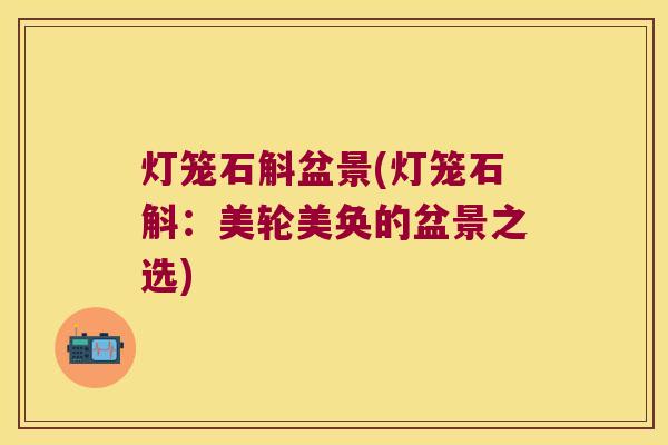 灯笼石斛盆景(灯笼石斛：美轮美奂的盆景之选)