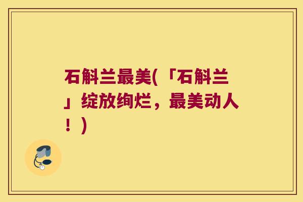 石斛兰最美(「石斛兰」绽放绚烂，最美动人！)