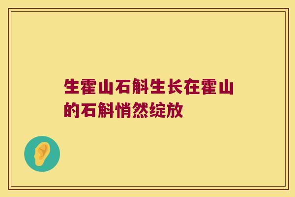 生霍山石斛生长在霍山的石斛悄然绽放 生霍山石斛生长在霍山的石斛悄然绽放