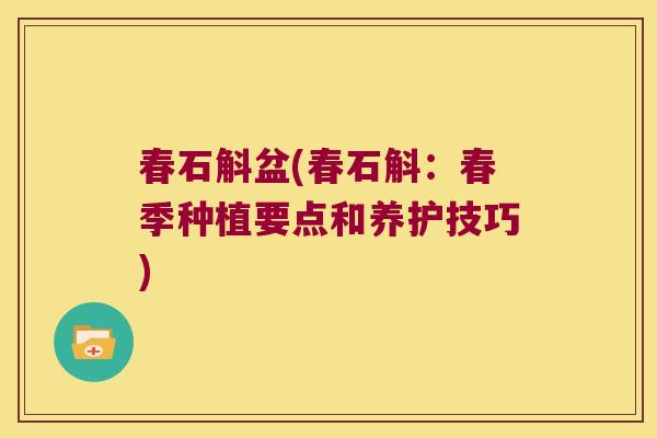 春石斛盆(春石斛：春季种植要点和养护技巧)