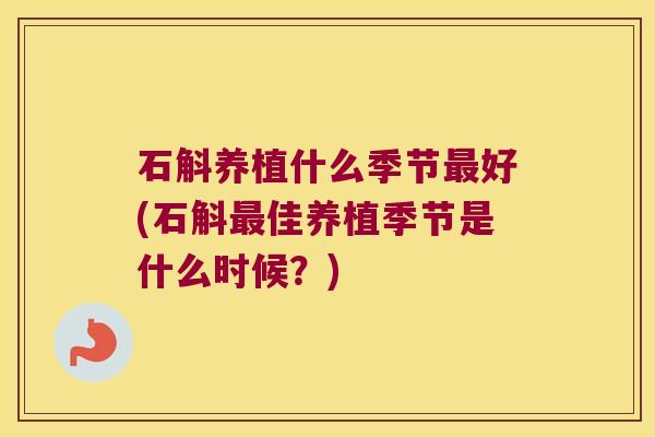 石斛养植什么季节最好(石斛最佳养植季节是什么时候？)