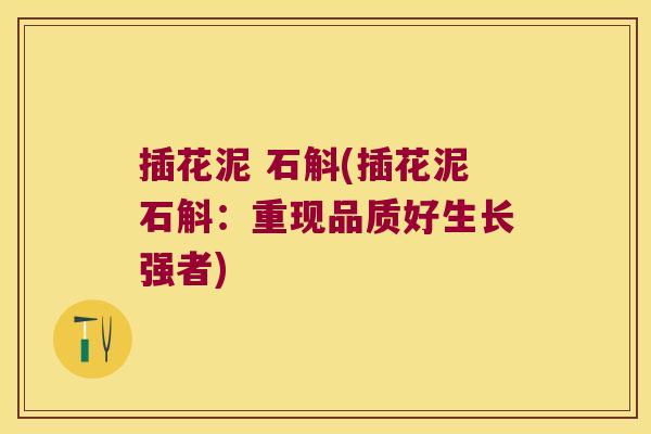 插花泥 石斛(插花泥石斛：重现品质好生长强者)