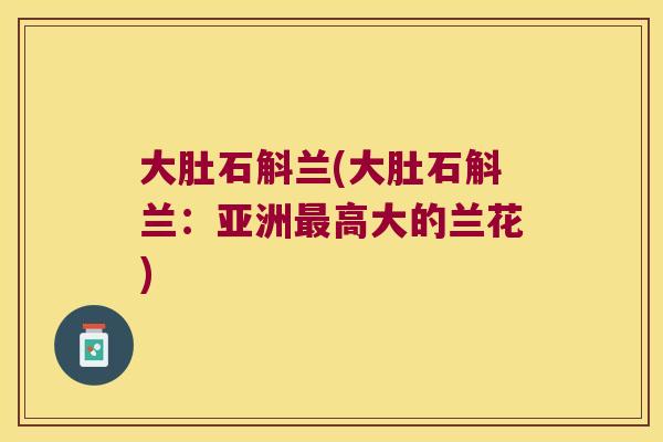 大肚石斛兰(大肚石斛兰：亚洲最高大的兰花)