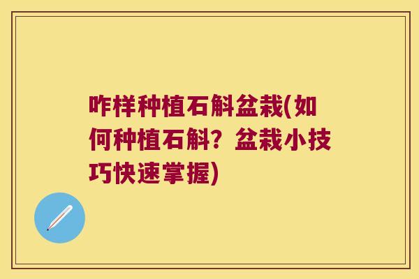 咋样种植石斛盆栽(如何种植石斛?盆栽小技巧快速掌握) 咋样种植石斛盆栽(如何种植石斛?盆栽小技巧快速掌握)