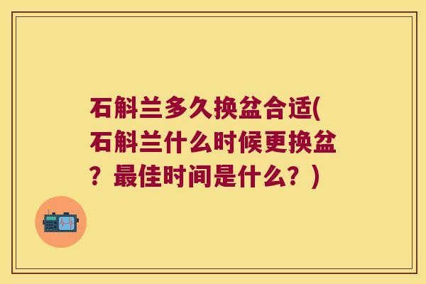 石斛兰多久换盆合适(石斛兰什么时候更换盆?佳时间是什么?) 石斛兰多久换盆合适(石斛兰什么时候更换盆?佳时间是什么?)