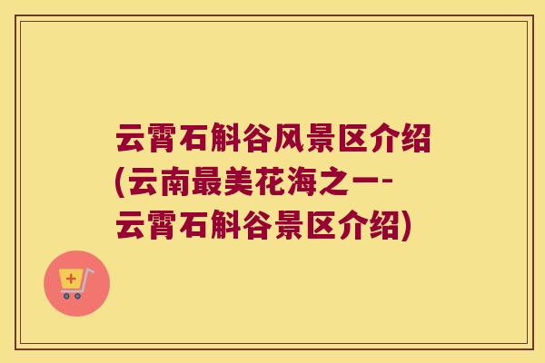 云霄石斛谷风景区介绍(云南美花海之一-云霄石斛谷景区介绍)