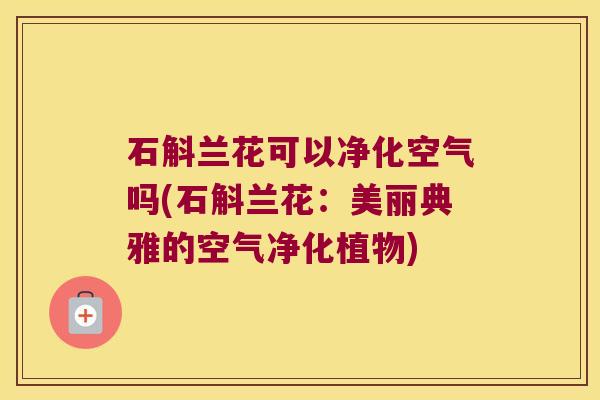 石斛兰花可以净化空气吗(石斛兰花:美丽典雅的空气净化植物) 石斛兰花可以净化空气吗(石斛兰花:美丽典雅的空气净化植物)