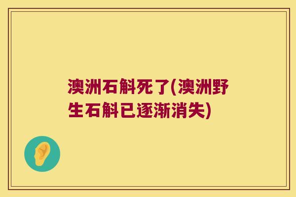澳洲石斛死了(澳洲野生石斛已逐渐消失)