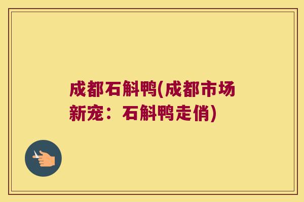 成都石斛鸭(成都市场新宠：石斛鸭走俏)