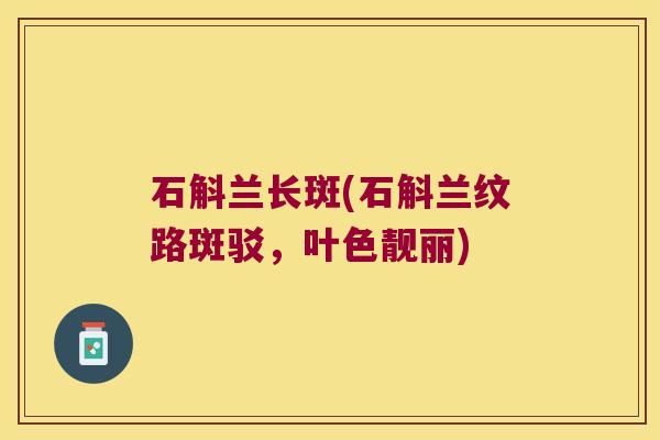 石斛兰长斑(石斛兰纹路斑驳，叶色靓丽)
