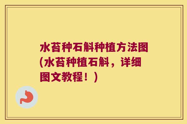 水苔种石斛种植方法图(水苔种植石斛，详细图文教程！)