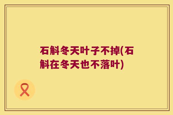 石斛冬天叶子不掉(石斛在冬天也不落叶)