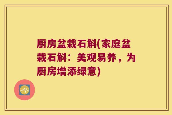 厨房盆栽石斛(家庭盆栽石斛：美观易养，为厨房增添绿意)
