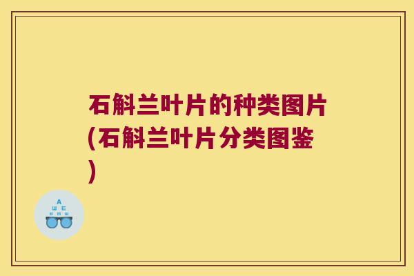 石斛兰叶片的种类图片(石斛兰叶片分类图鉴)