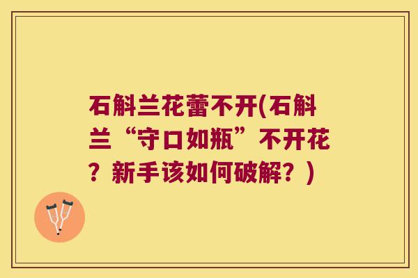 石斛兰花蕾不开(石斛兰“守口如瓶”不开花?新手该如何破解?) 石斛兰花蕾不开(石斛兰“守口如瓶”不开花?新手该如何破解?)
