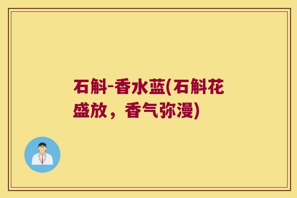 石斛-香水蓝(石斛花盛放,香气弥漫) 石斛-香水蓝(石斛花盛放,香气弥漫)