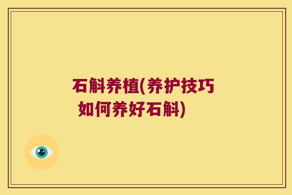石斛养植(养护技巧  如何养好石斛)