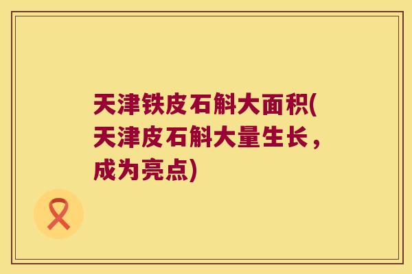 天津铁皮石斛大面积(天津皮石斛大量生长，成为亮点)