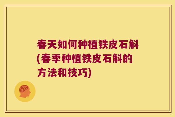 春天如何种植铁皮石斛(春季种植铁皮石斛的方法和技巧) 春天如何种植铁皮石斛(春季种植铁皮石斛的方法和技巧)