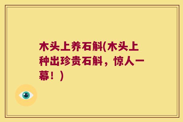 木头上养石斛(木头上种出珍贵石斛,惊人一幕!) 木头上养石斛(木头上种出珍贵石斛,惊人一幕!)
