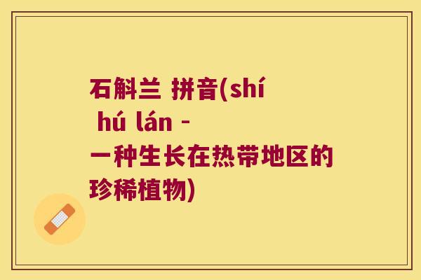 石斛兰 拼音(shí hú lán - 一种生长在热带地区的珍稀植物)