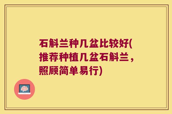 石斛兰种几盆比较好(推荐种植几盆石斛兰，照顾简单易行)