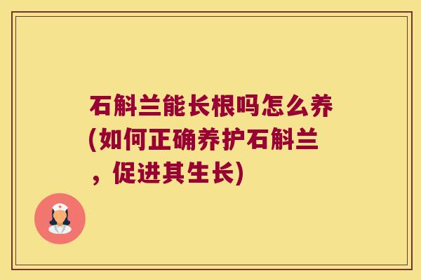 石斛兰能长根吗怎么养(如何正确养护石斛兰,促进其生长) 石斛兰能长根吗怎么养(如何正确养护石斛兰,促进其生长)
