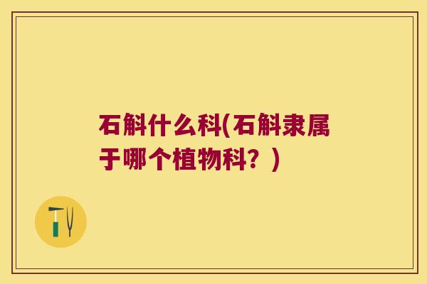 石斛什么科(石斛隶属于哪个植物科？)