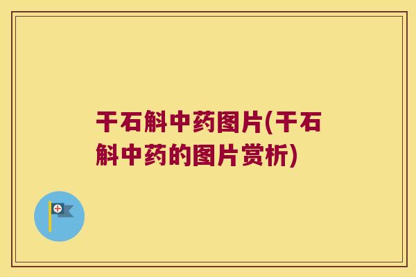 干石斛中药图片(干石斛中药的图片赏析)