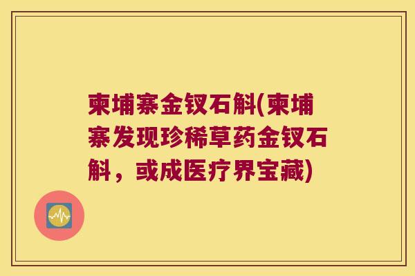 柬埔寨金钗石斛(柬埔寨发现珍稀草药金钗石斛，或成医疗界宝藏)