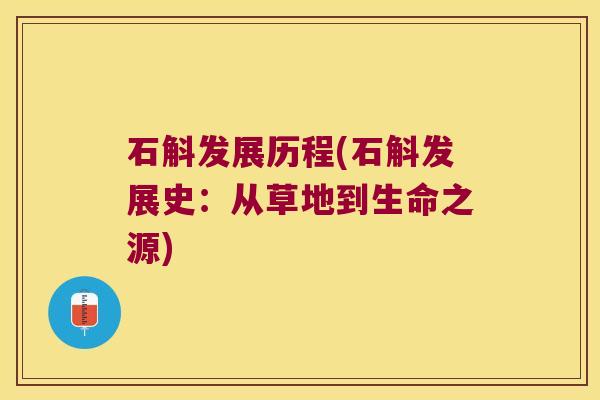 石斛发展历程(石斛发展史：从草地到生命之源)
