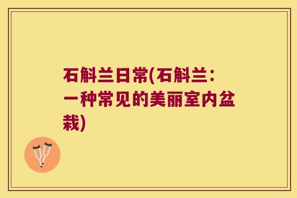 石斛兰日常(石斛兰：一种常见的美丽室内盆栽)
