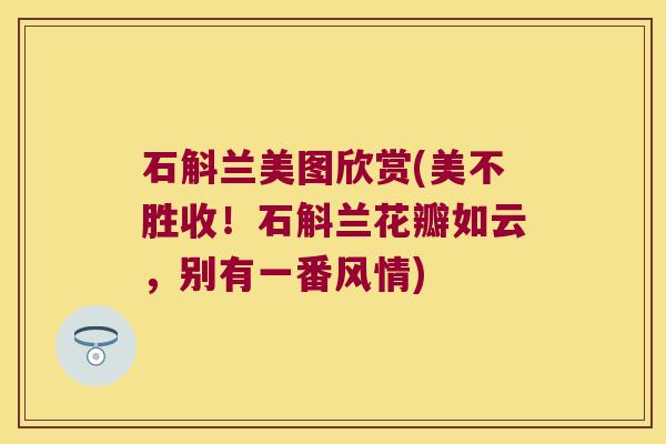 石斛兰美图欣赏(美不胜收！石斛兰花瓣如云，别有一番风情)