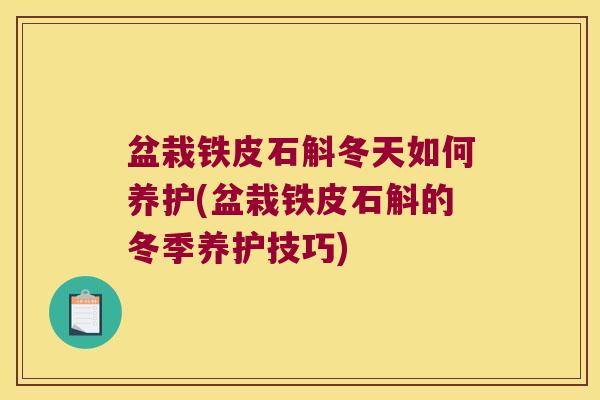 盆栽铁皮石斛冬天如何养护(盆栽铁皮石斛的冬季养护技巧)