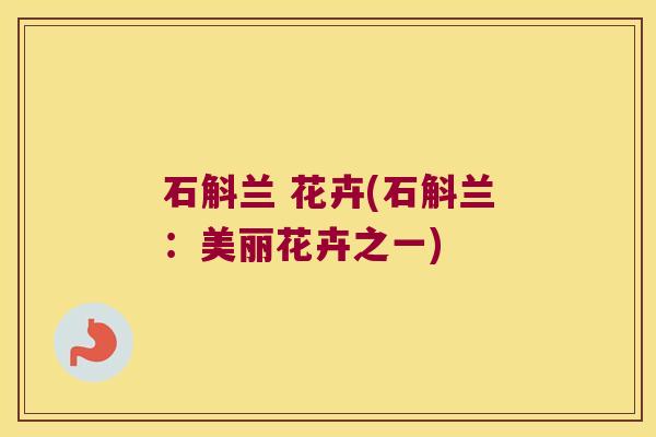 石斛兰 花卉(石斛兰：美丽花卉之一)