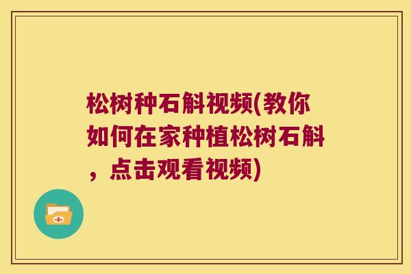 松树种石斛视频(教你如何在家种植松树石斛，点击观看视频)