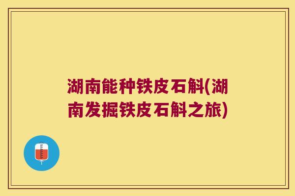 湖南能种铁皮石斛(湖南发掘铁皮石斛之旅)