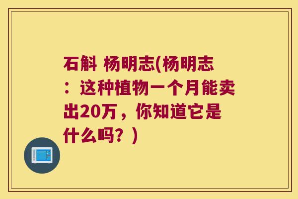 石斛 杨明志(杨明志：这种植物一个月能卖出20万，你知道它是什么吗？)