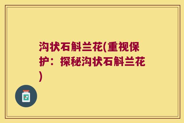 沟状石斛兰花(重视保护：探秘沟状石斛兰花)