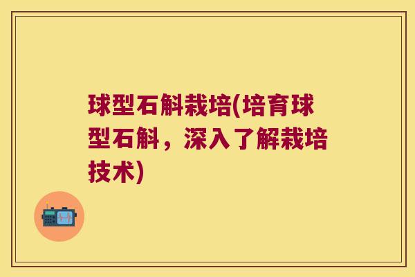 球型石斛栽培(培育球型石斛，深入了解栽培技术)