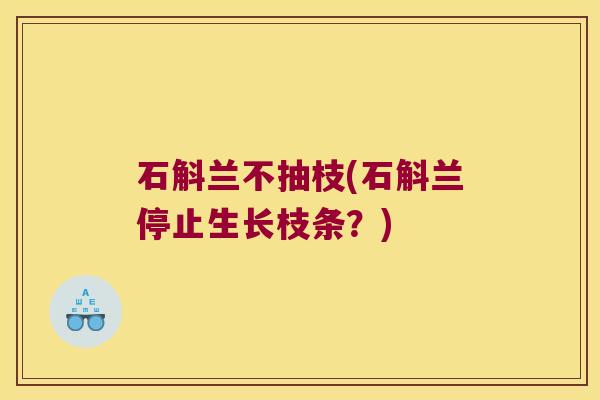 石斛兰不抽枝(石斛兰停止生长枝条？)