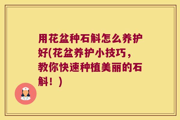 用花盆种石斛怎么养护好(花盆养护小技巧，教你快速种植美丽的石斛！)