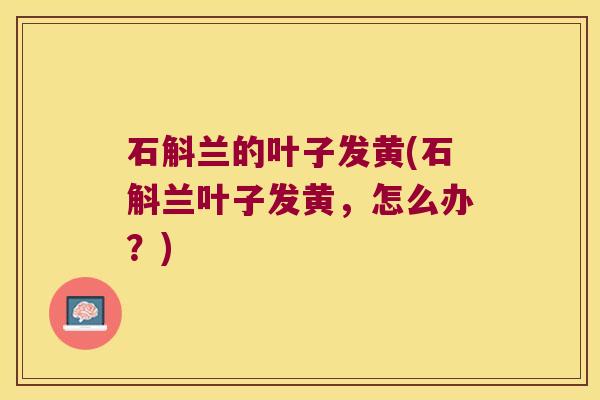 石斛兰的叶子发黄(石斛兰叶子发黄，怎么办？)