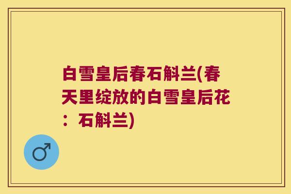 白雪皇后春石斛兰(春天里绽放的白雪皇后花：石斛兰)